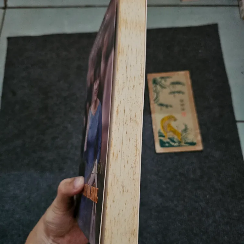 Madame Nhu Trần Lệ Xuân, Quyền lực bà rồng - bản in đầu bị thu hồi 737187