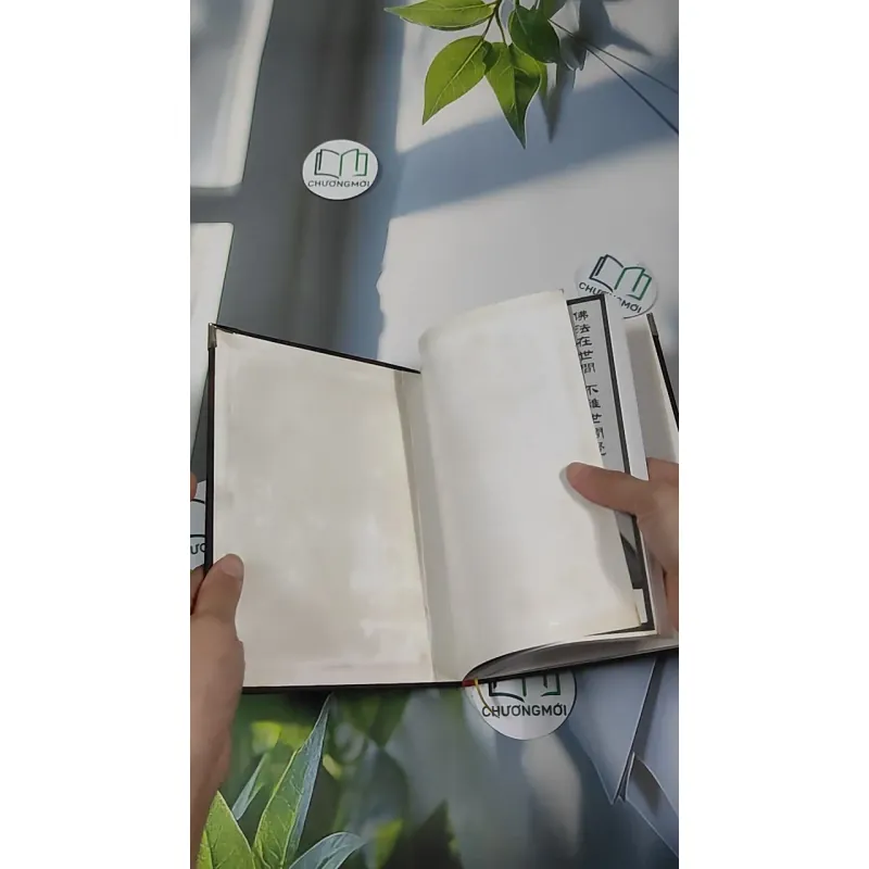 Kinh Pháp Bảo Đàn - Thích Giác Phổ 990458