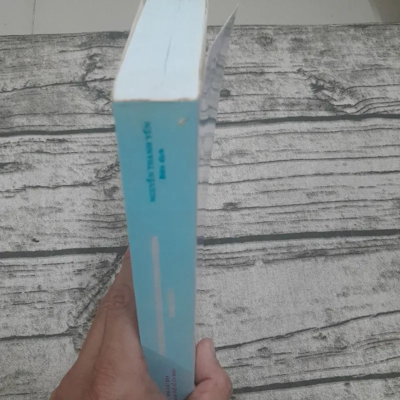 Từ điển Đồng nghĩa và Phản nghĩa Anh Việt. Nguyễn Thành Yến biên dịch 607314