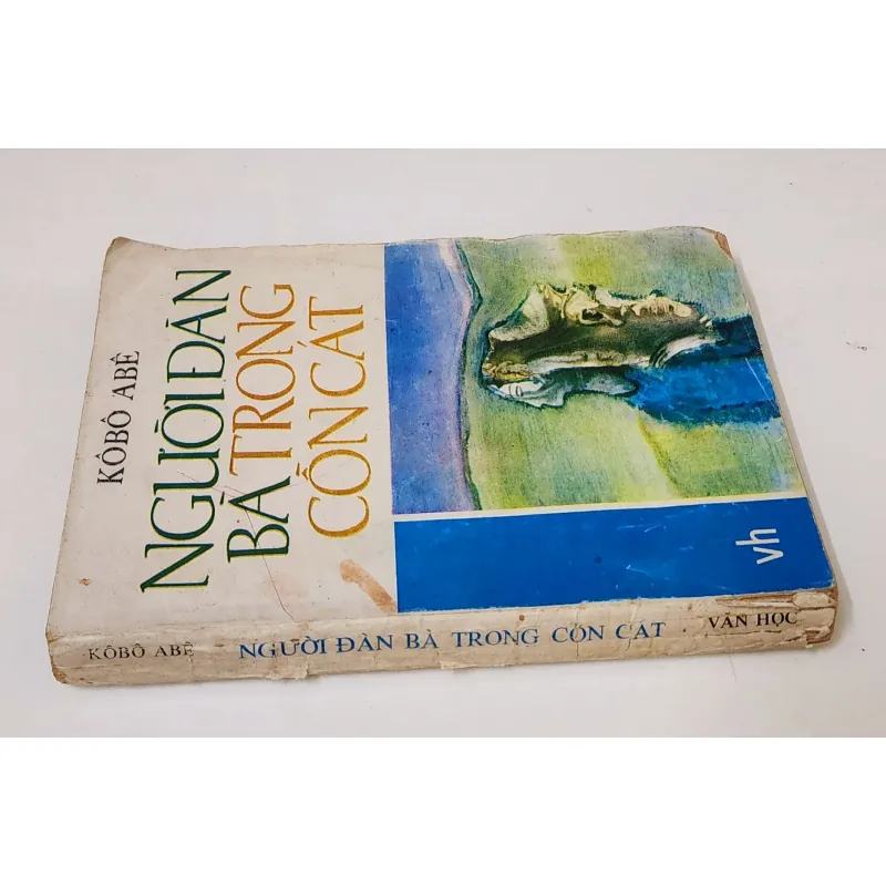 Tiểu thuyết Nhật NGƯỜI ĐÀN BÀ TRONG CỒN CÁT (Kobo Abe) 786316
