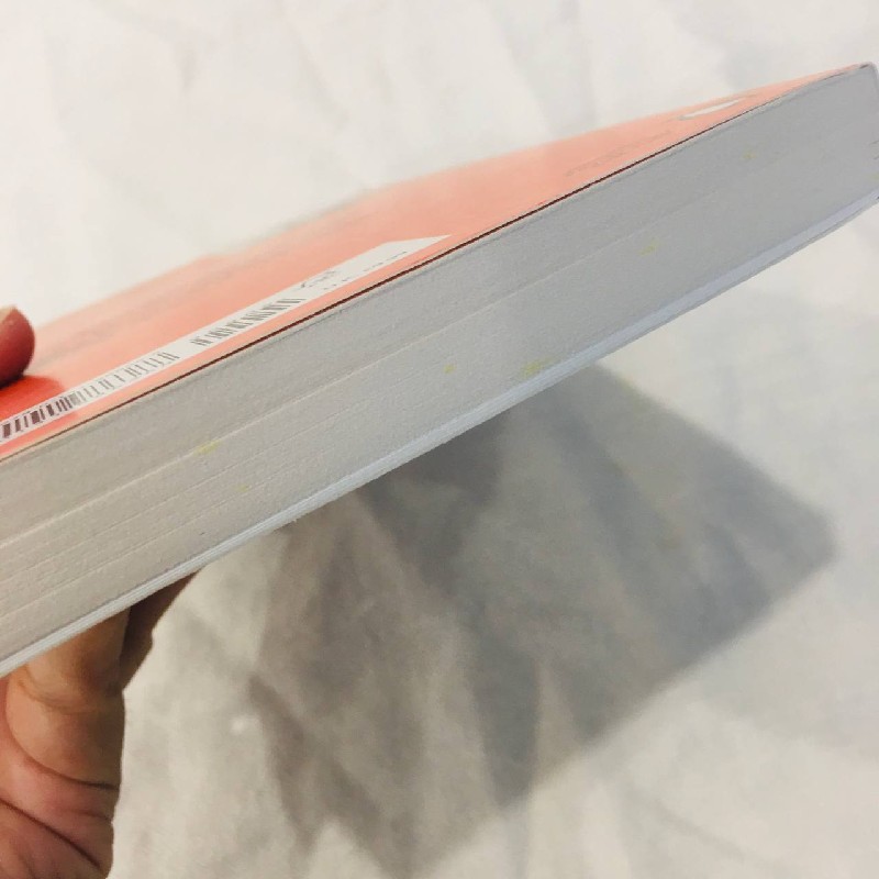 Book - Goodbye Things : On Minimalist Living 60479