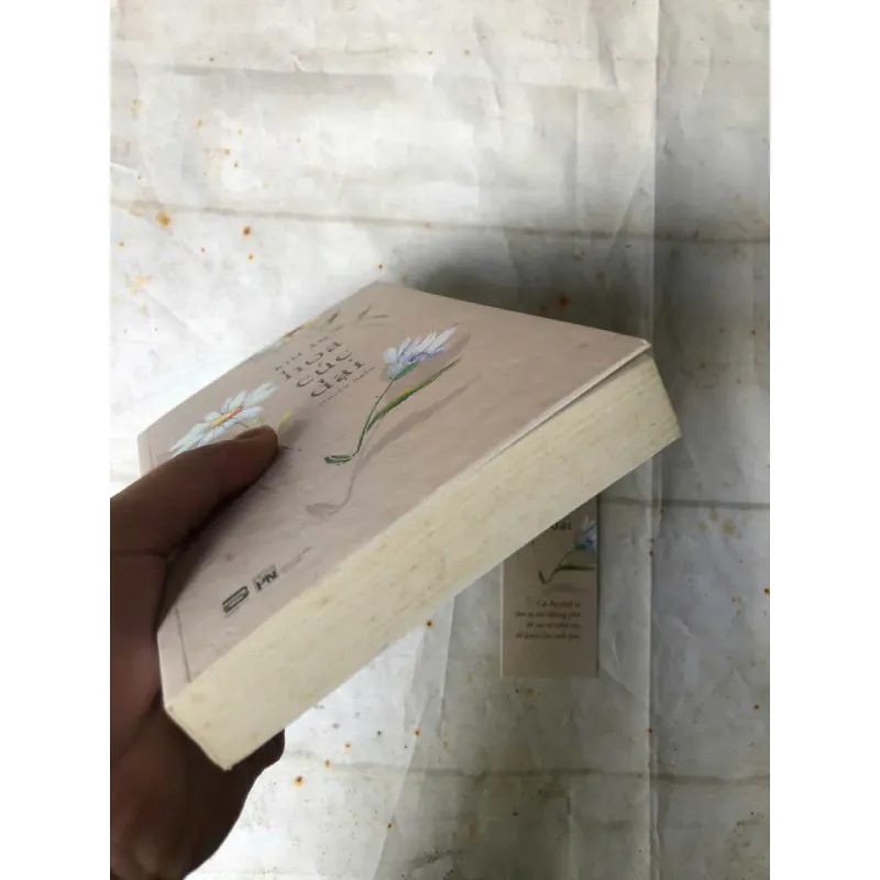 Hoa Cúc Dại - Kim Ân 974418