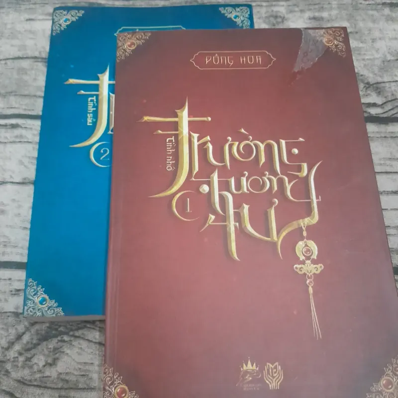 Trường Tương Tư. Tập 1&2. Tác giả Đồng Hoa. Ng dịch Lương Hiền 719654