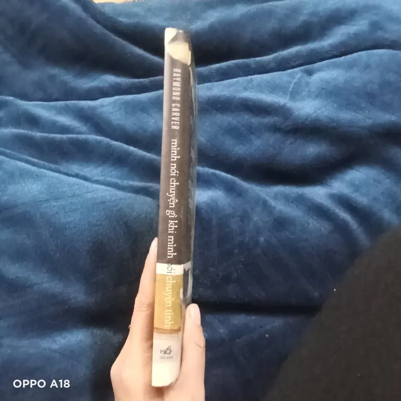 Mình Nói Chuyện Gì Khi Mình Nói Chuyện Tình- Raymond Carver  734080