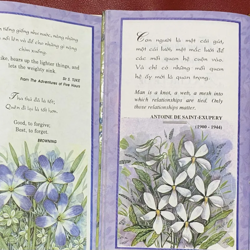 Friendship - Tình Bạn 1027458