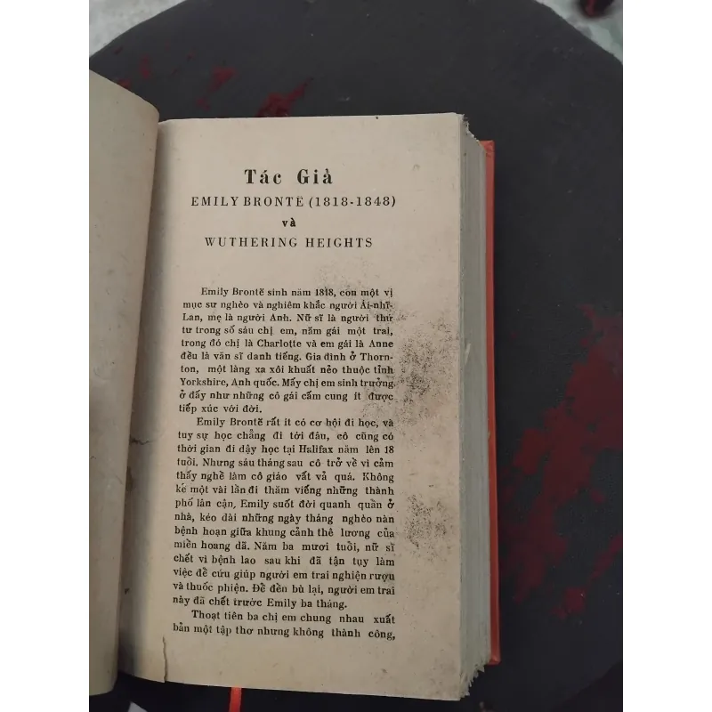 Đỉnh gió hú của Emily Bronte 960820