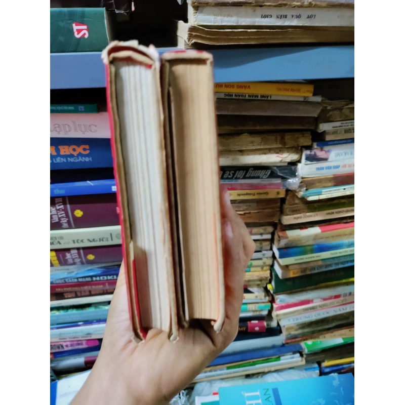 Đất vỡ hoang 443302