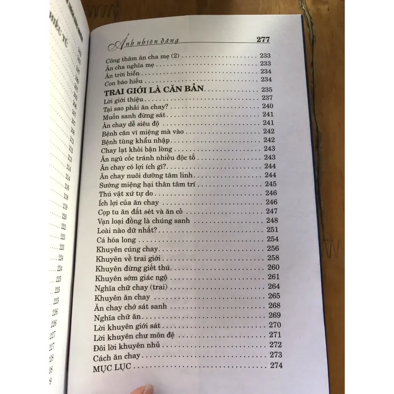 Ánh nhiên đăng 1000592