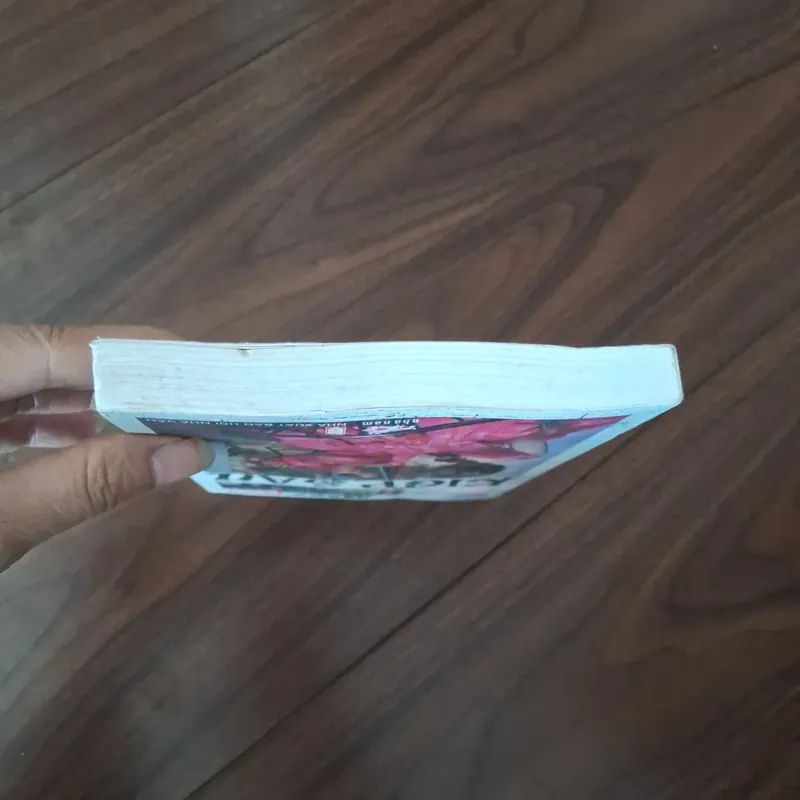 Kiếp sau - marc levy 732749