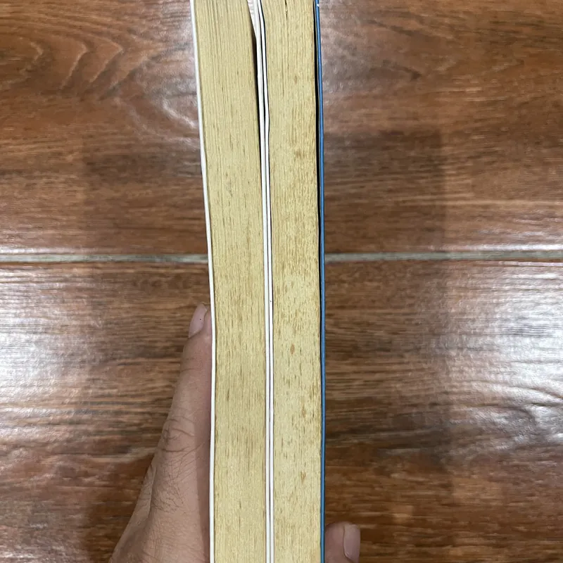 Người mẹ - Magxim Gorky (6) 715373