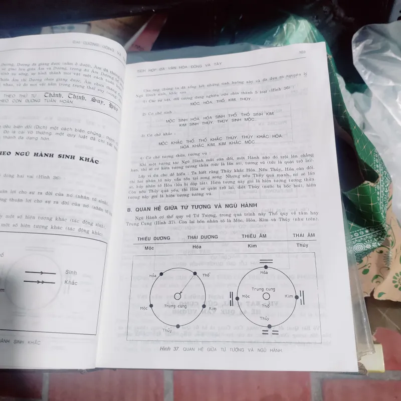 Tích hợp văn hoá đông tây cho một chiến lược giáo dục tương lai 683156