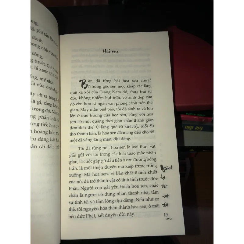 Ngoảnh lại đã một đời - Bạch Lạc Mai 993679