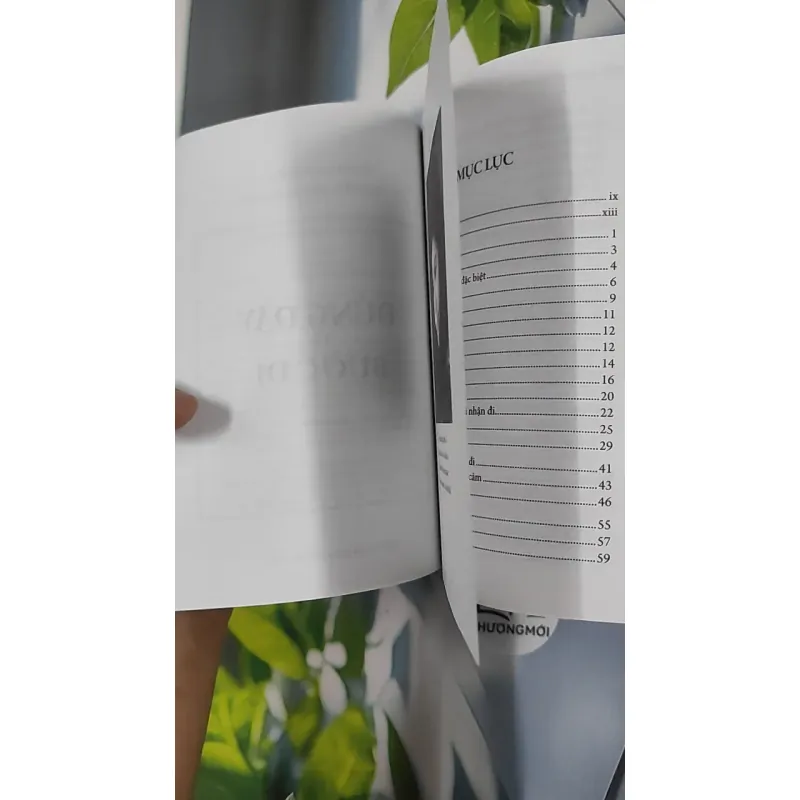 Đứng Dậy Và Bước Đi - Nguyễn Hướng Dương 798428