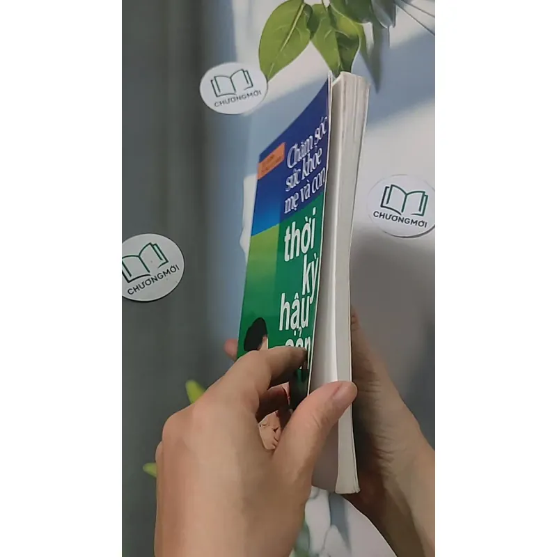 Chăm sóc sức khỏe mẹ và con thời kỳ hậu sản - Giáo sư Lê Đềm 688501