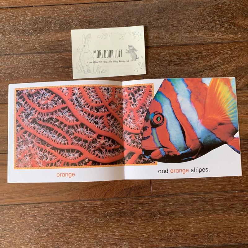 Combo 3c tập đọc Science Emergent Readers: Coral Reef; Desert; Nests, Nests, Nests, Used 477815