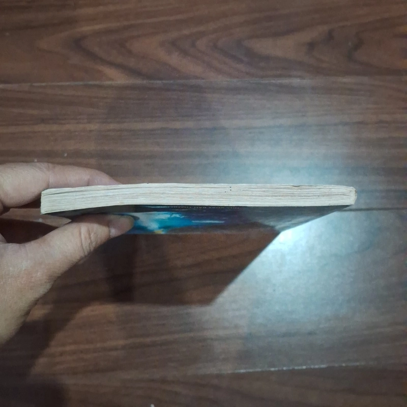 Hồn ma hải tặc râu đen 526289