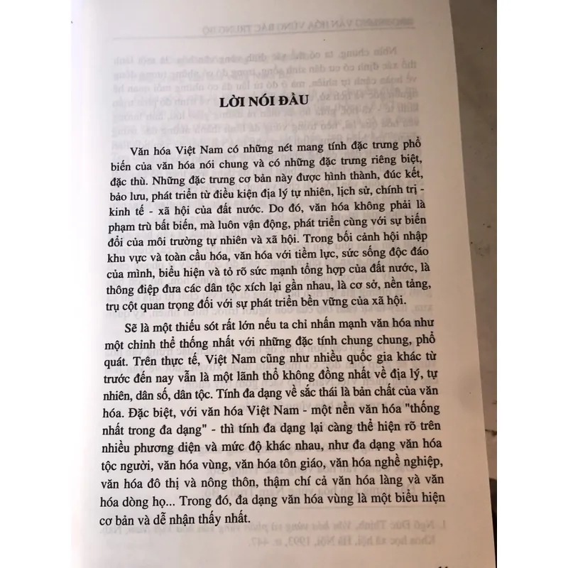 Đặc trưng văn hoá vùng Bắc Trung Bộ 726341