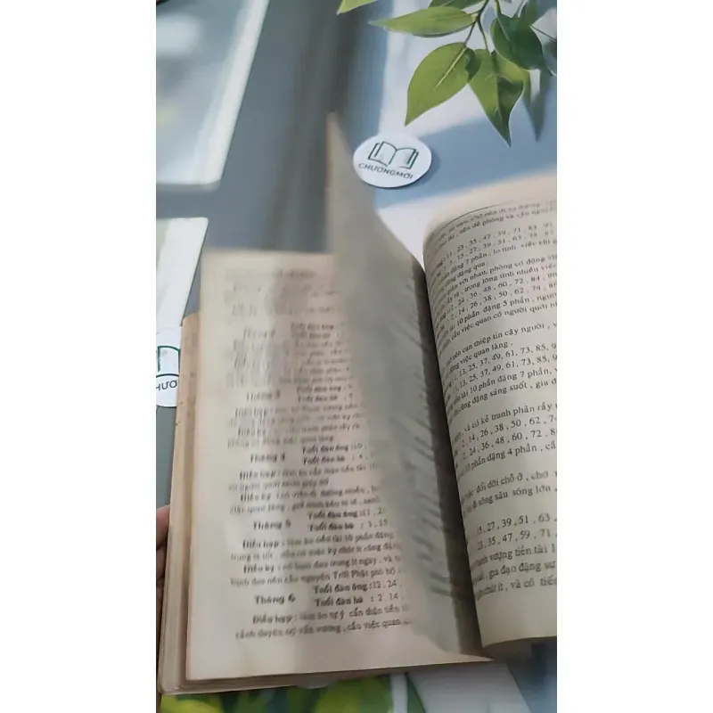 [MIỄN PHÍ BỌC SÁCH] Diện Cẩm Tam Thế - Dương Công Hầu 727288