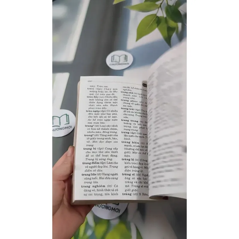 Từ Điển Tiếng Việt Dành Cho Học Sinh Lớp 727290