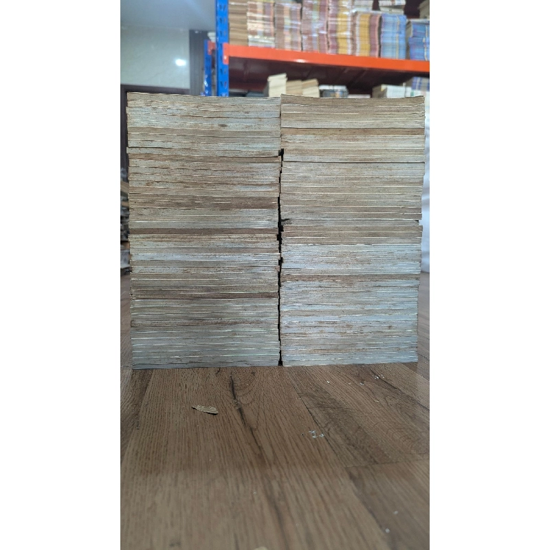 TRUYỆN TRANH Jindo Đường Đến Khung Thành - Motoki Monma 271063