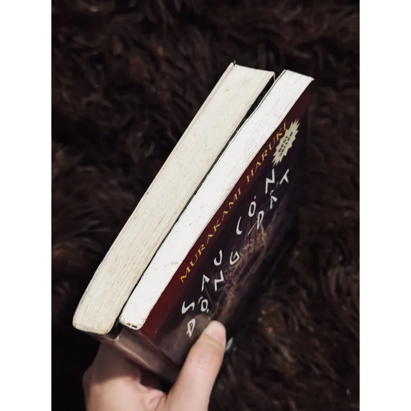 Sau cơn động đất + phía tây 997857