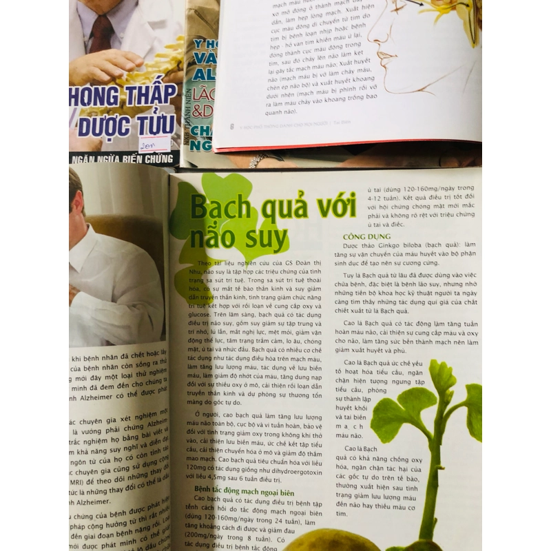 2. LÔ BÁO Y HỌC PHỔ THÔNG  541727