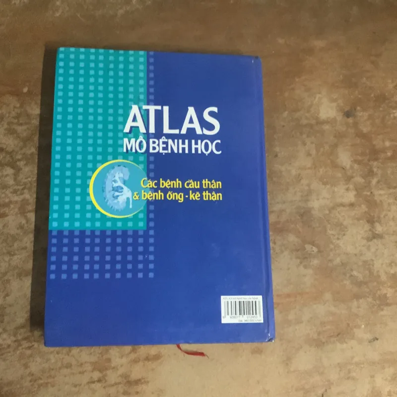 ATLAS MÔ BỆNH HỌC CÁC BỆNH CẦU THẬN & BỆNH ỐNG - KẼ THẬN 935201
