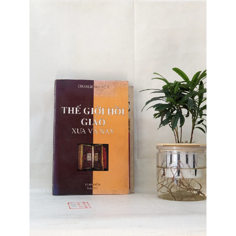 Thế giới Hồi giáo xưa và nay - Charlie Nguyễn 129824
