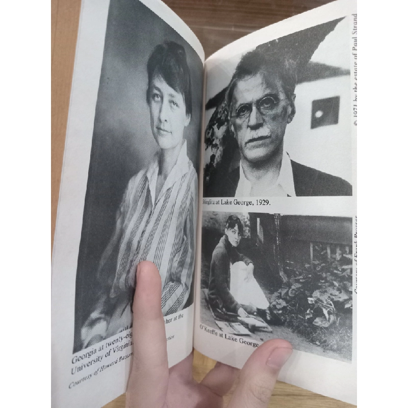Portrait of an artist: A biography of Georgia O'Keeffe - Laurie Lisle 527604