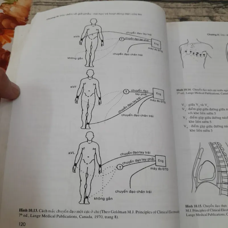 SINH LÝ HỌC Y KHOA- Tập 1-Giáo sư PHẠM ĐÌNH HỰU -ĐH Y Dược HCM  778118