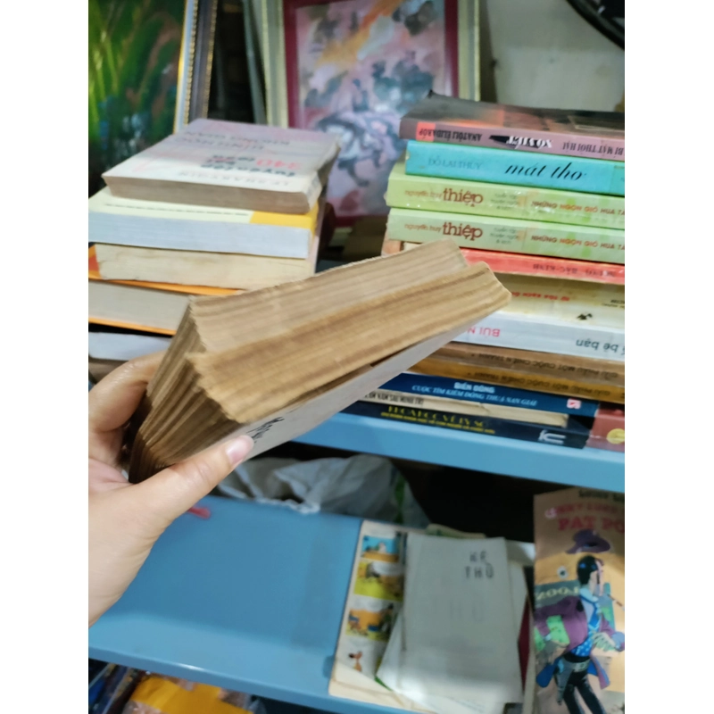Truyền kì mạn lục 455613