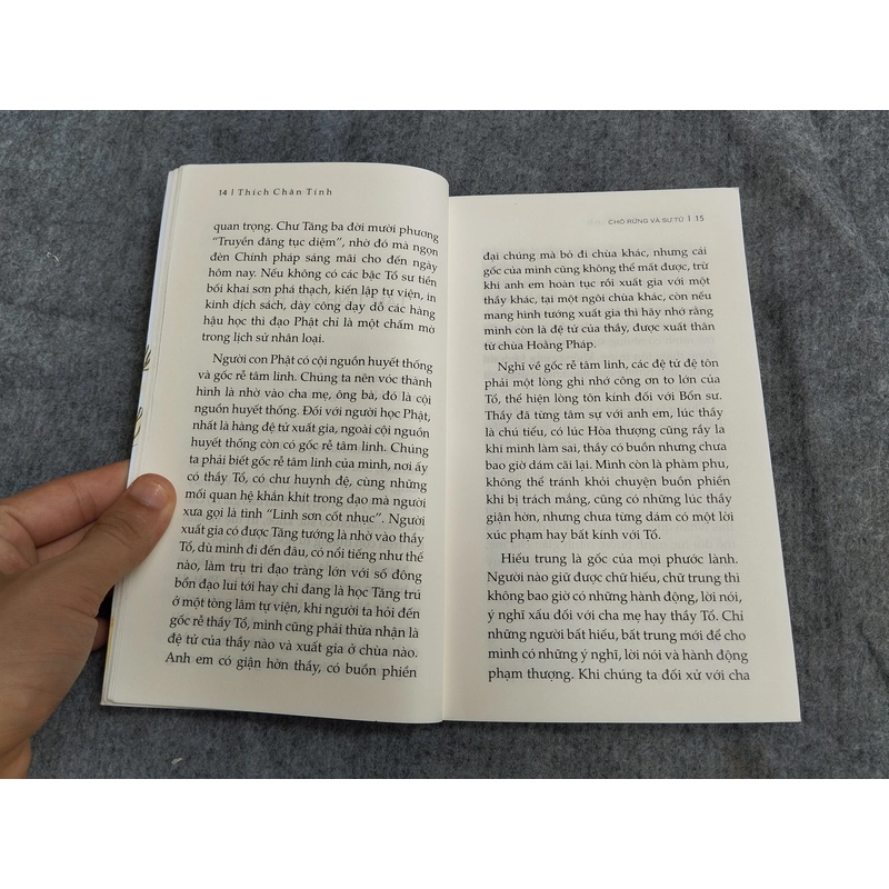 CHÓ RỪNG VÀ SƯ TỬ 549217