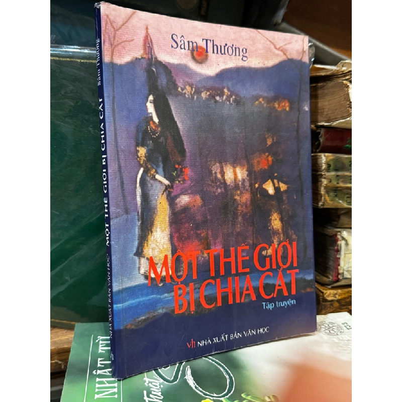 Một thế giới bị chia cắt - Sâm Thương 473374