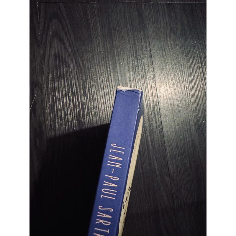 Ngôn từ - Jean Paul Sartre (đọc mô tả) 461912