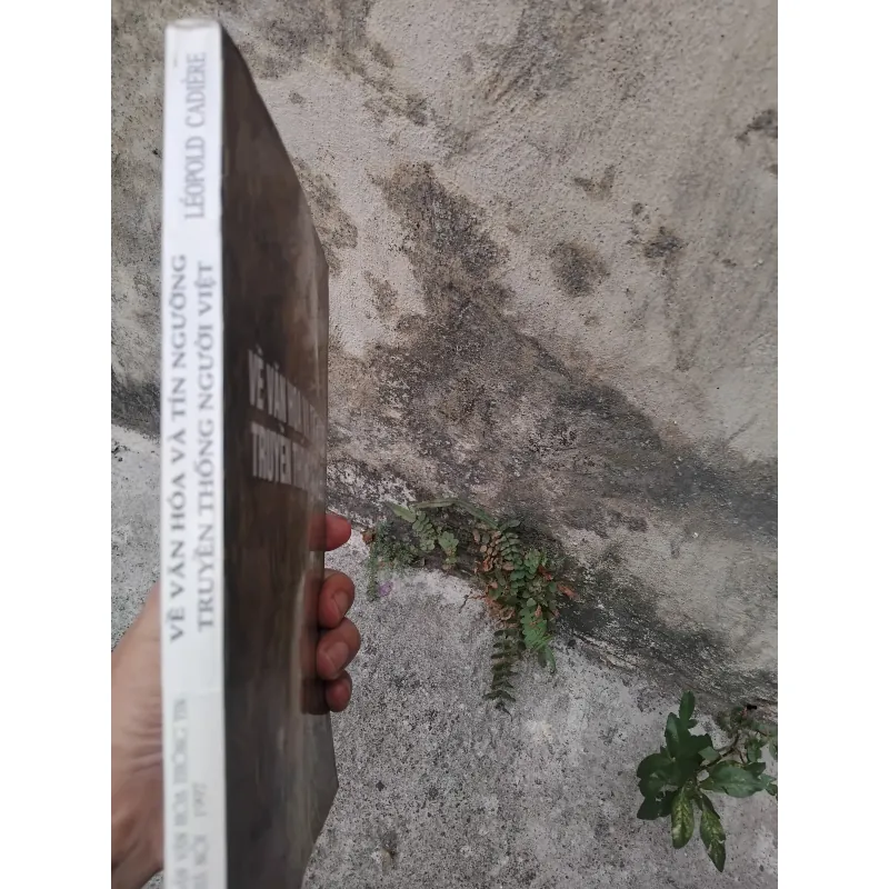 Về văn hóa và tín ngưỡng truyền thống người Việt của Leopold Cadière 1026178