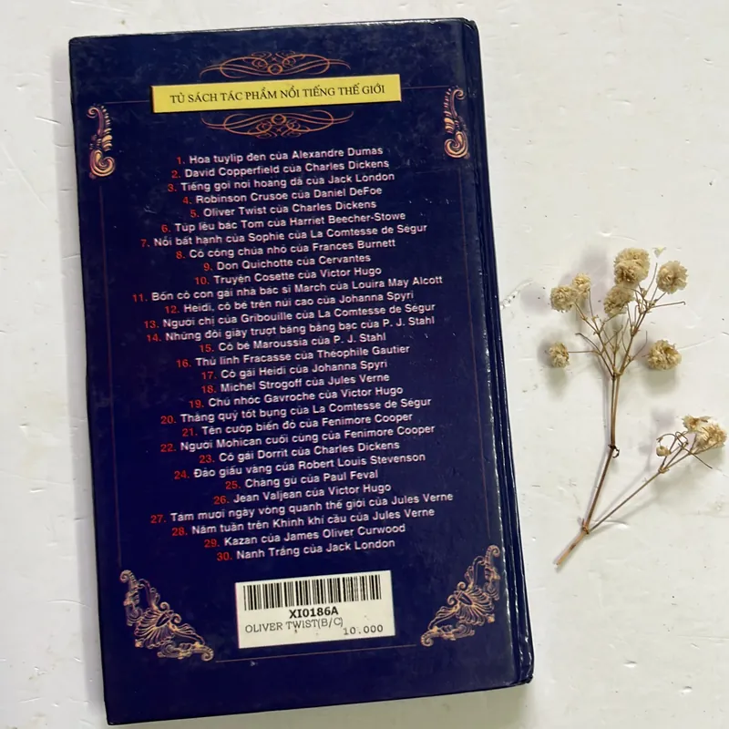 Oliver Twist - Charles Dickens (Bản bìa cứng bỏ túi) 598033