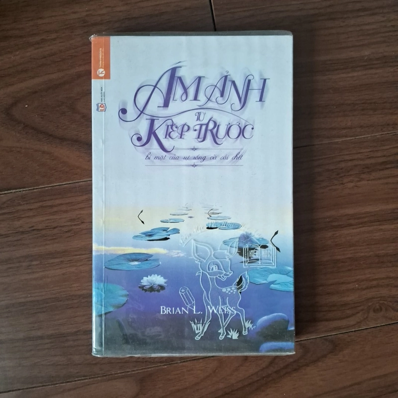 Ám ảnh từ kiếp trước 532494