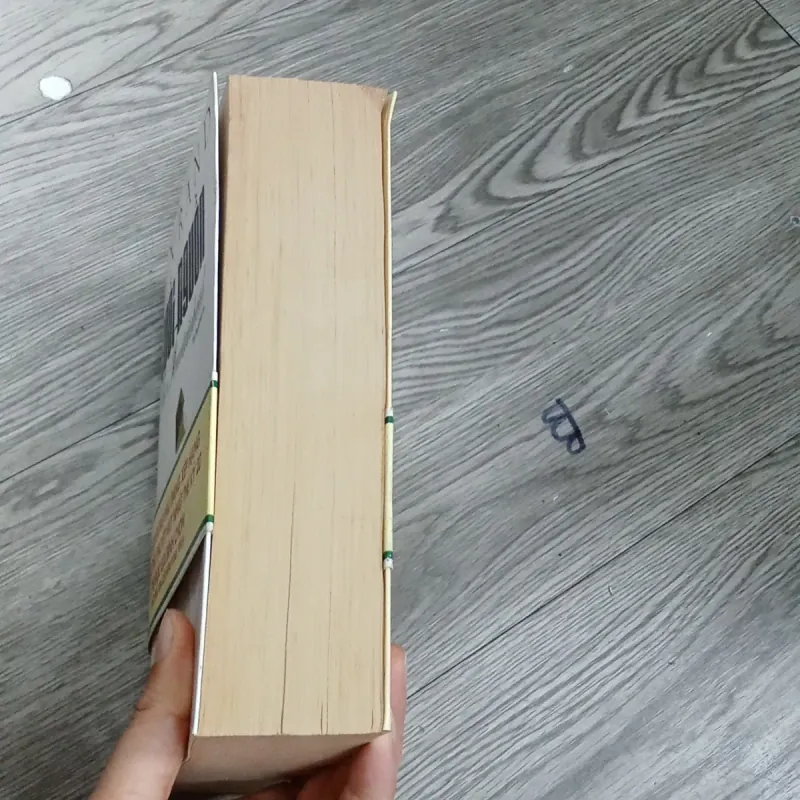 Suối Nguồn - Ayn Rand 1020089