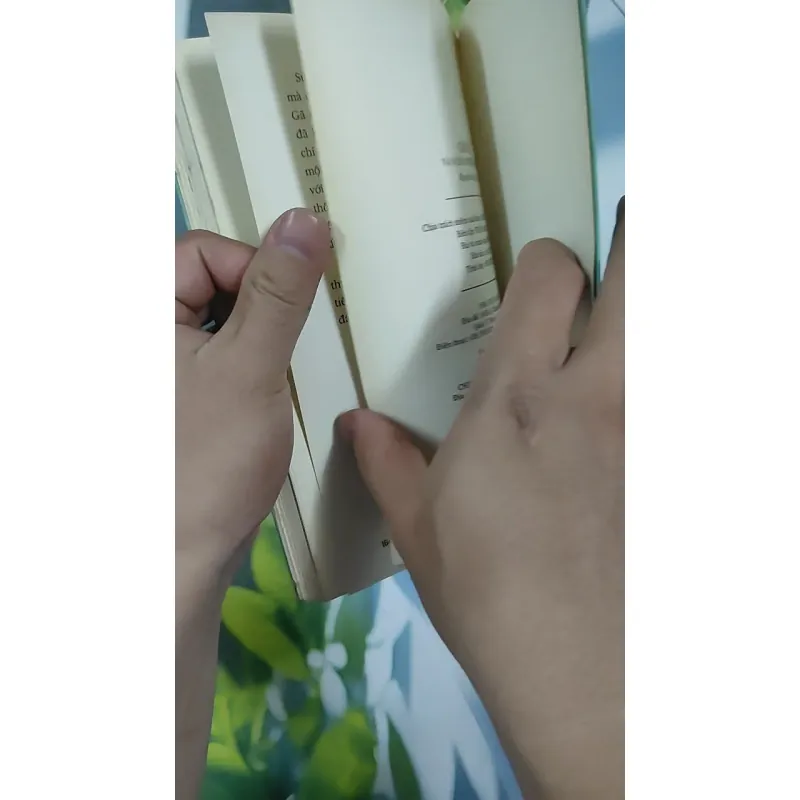 Gió Lẻ Và 9 Câu Chuyện Khác - Nguyễn Ngọc Tư 798456