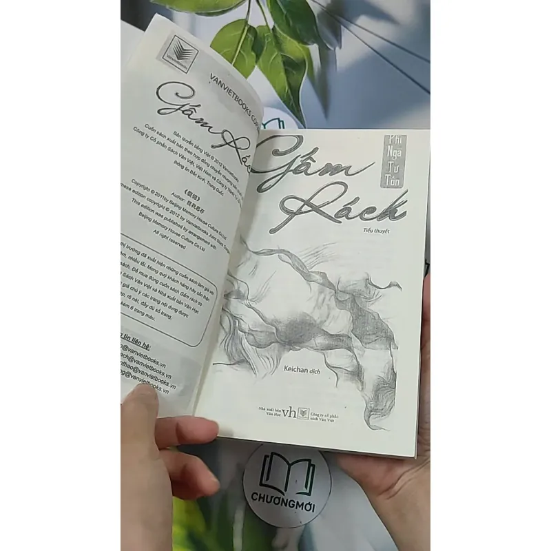 Gấm rách - Phỉ Ngã Tư Tồn 688659