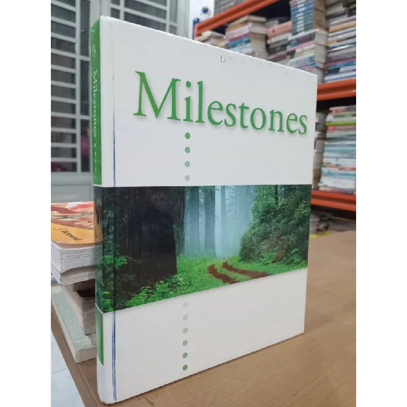Milestones 574111