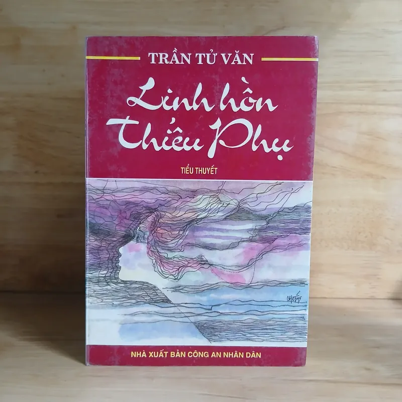 Tiểu Thuyết Linh Hồn Thiếu Phụ - Trần Tử Văn 603831