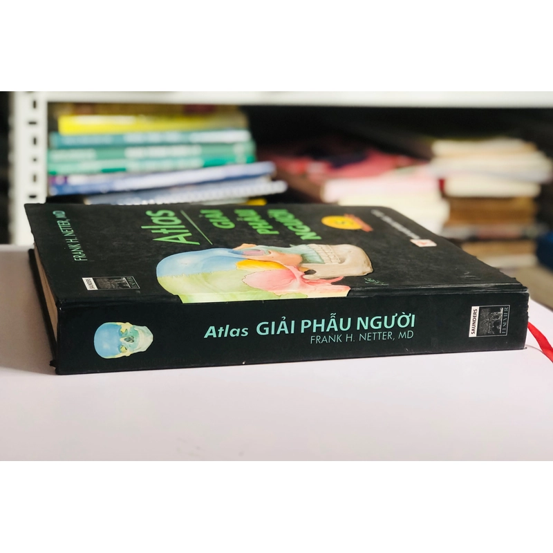 ATLAS GIẢI PHẪU NGƯỜI 5 479466