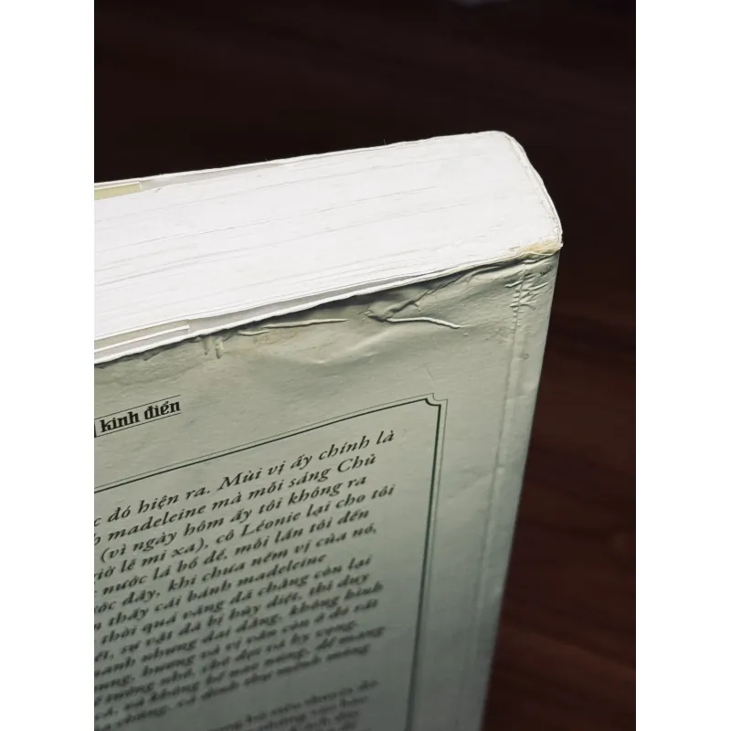 Bên phía nhà Swan - Marcel Proust 757393