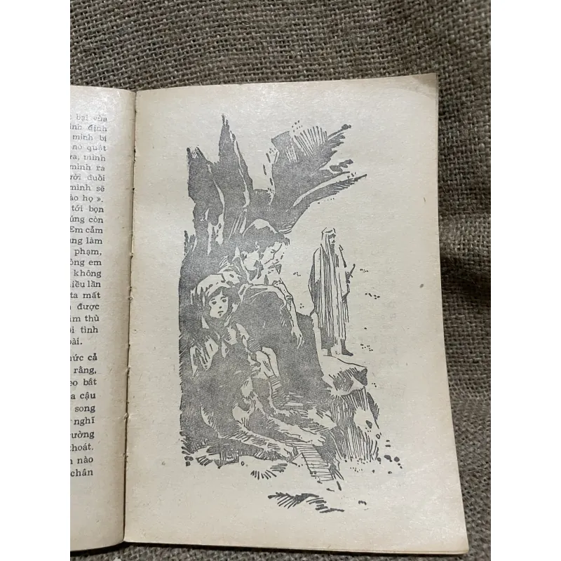 Trên sa mạc và trong rừng thẳm - NXB Kim đồng  934156