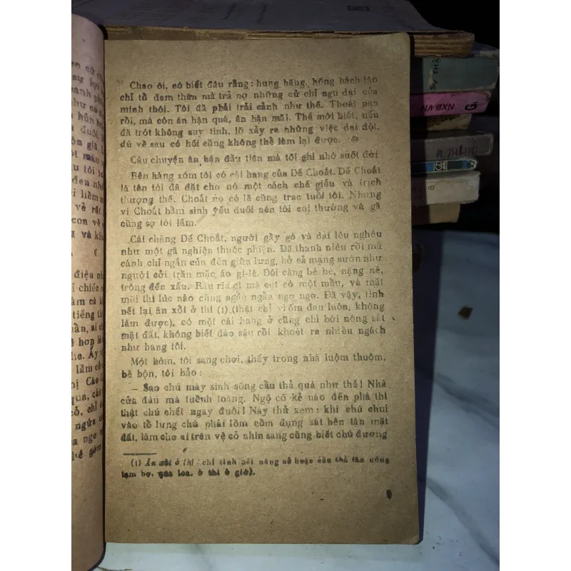 Dế mèn phiêu lưu ký - Tô Hoài 1037803