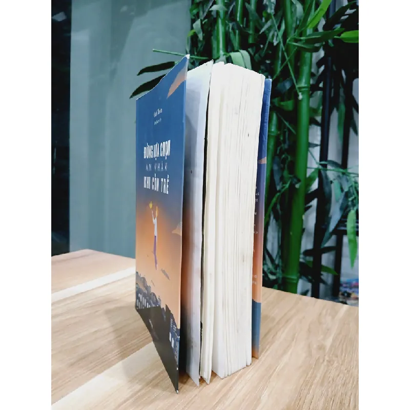 Đừng lựa chọn an nhàn khi còn trẻ- Cảnh Thiên 700764