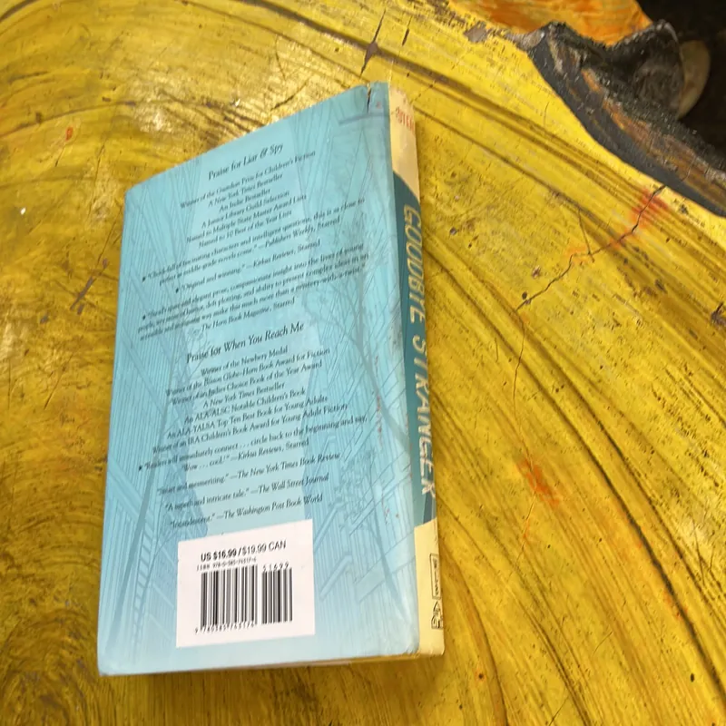 GOODBYE STRANGER- REBECCA STEAD 711944