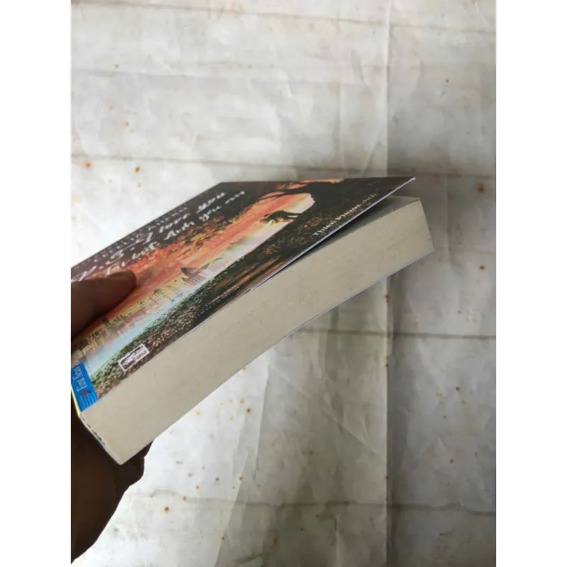 Tái Bút Anh Yêu Em - Cecelia Ahern 849900