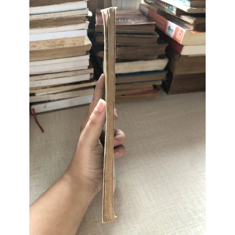 Lịch sử thế giới chương trình sơ cấp 961709